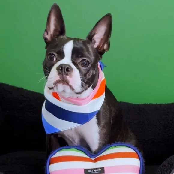 Kate Spade Adventure Stripe Bandana - Picture 3 of 3